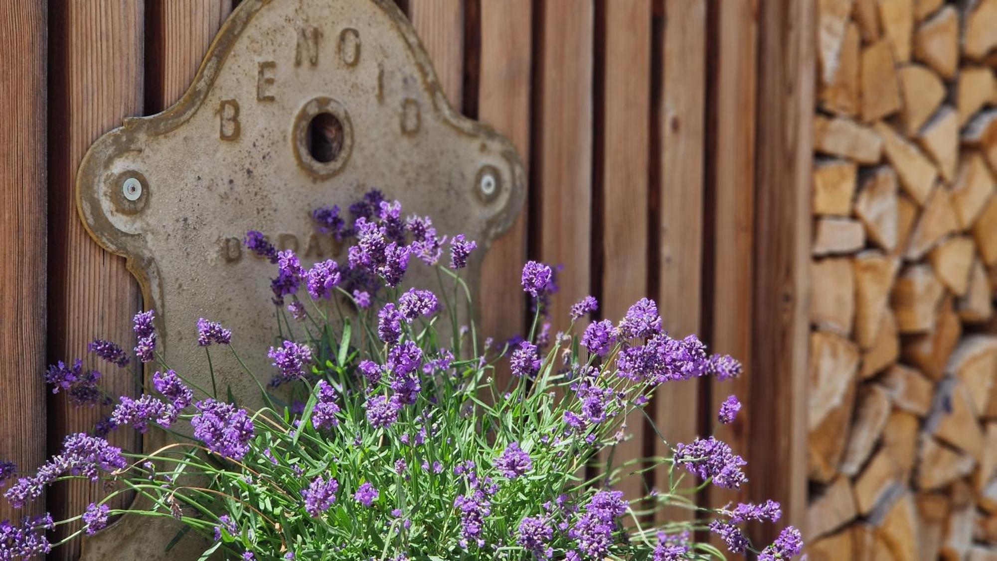 Nostalgie Bed & Breakfast Chraemerhus Curaglia Екстериор снимка